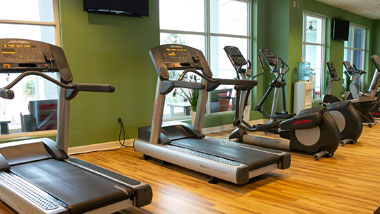 exercise equipment at the fitness center
