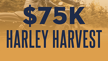 11-22 75K HARLEY HARVEST